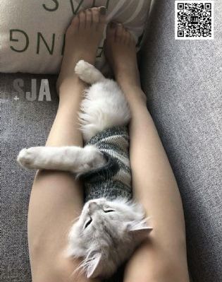 学生兵电视剧_剧情片神马影院在线
